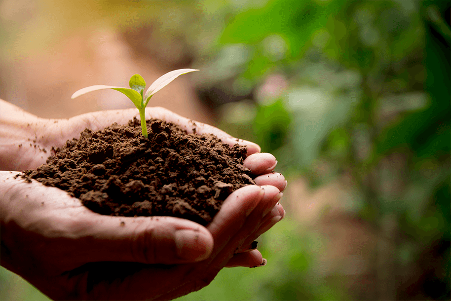 Handful soil